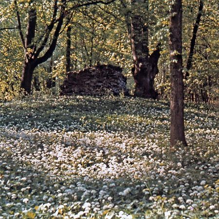 Kvarnvillan Lummelundsbruk Visby Bagian luar foto