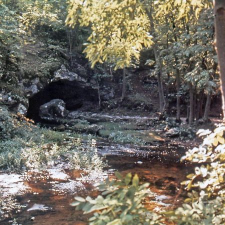 Kvarnvillan Lummelundsbruk Visby Bagian luar foto